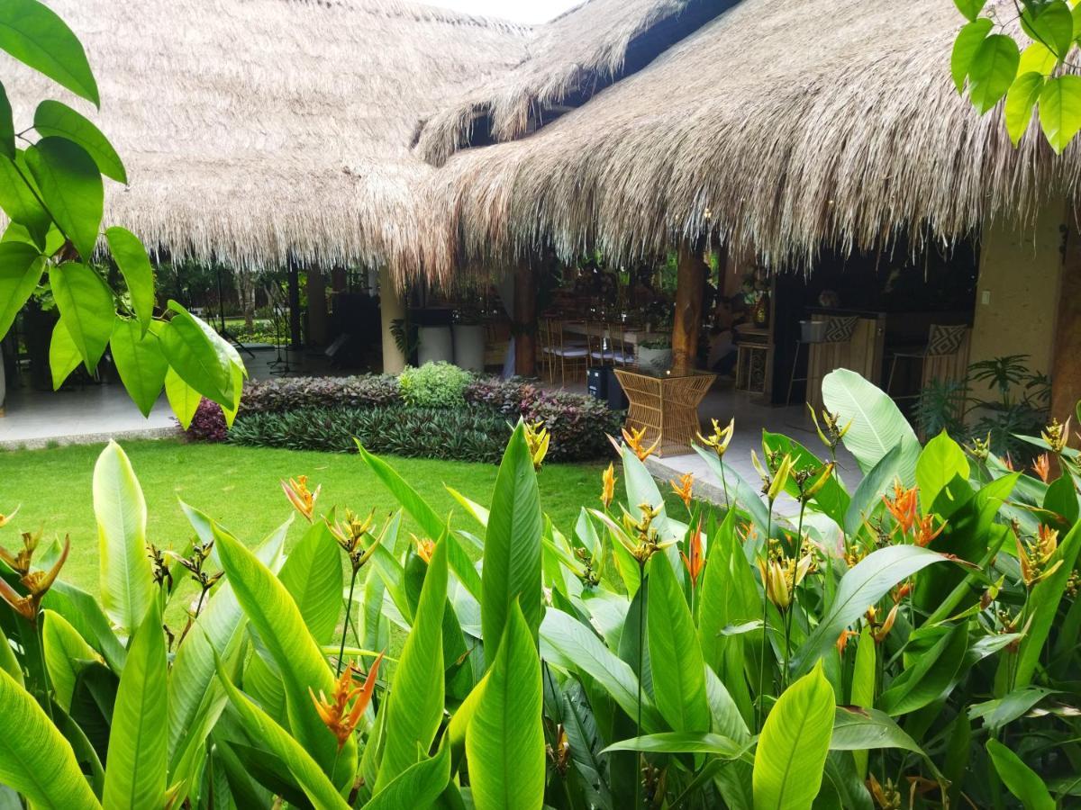 La Bonita Luxury Ecohotel Sahagun Dış mekan fotoğraf